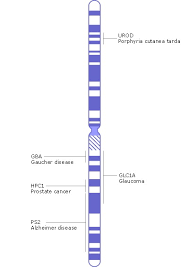 chromosome map genes and disease