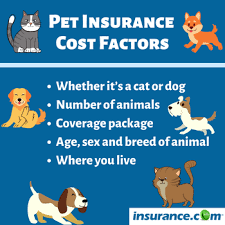 Nationwide mutual insurance company is responsible for this page. Pet Insurance Find The Best Pet Insurance Companies