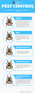 Here are some really effective home remedies to get rid of ants. How To Get Rid Of White Ants In Melbourne Infographic 2020