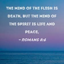 romans 8 6 the mind of the flesh is