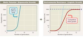Population Growth Bioninja