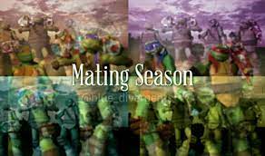 TMNT x Reader Scenarios - Mating Season - Wattpad