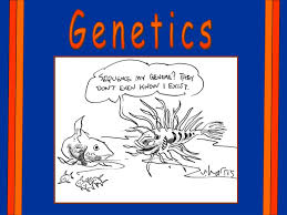 ppt genetics powerpoint presentation