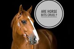 is-a-horse-bit-cruel
