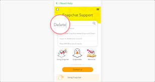 For more information, please refer to our privacy policy. How To Delete Your Snapchat Account Tutorial Nordvpn
