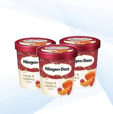 Haagen dazs vanilla ice cream. Haagen Dazs Buy Haagen Dazs At Best Price In Malaysia Www Lazada Com My