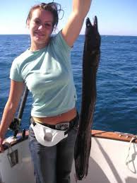 portuguese moréia, from latin mūrēna, from greek mūraina, from mūros, a kind of eel. Brown Moray Eel Cavalier Blue Marlin Sport Fishing Gran Canaria