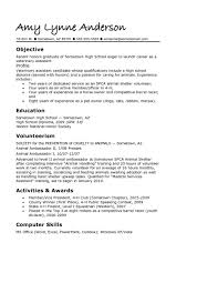 Resume Template Student  Example Of A Student Resume Curriculum     WorkBloom Resume Template High School Graduate