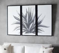 Black White Aloe Triptych Framed Wall Art