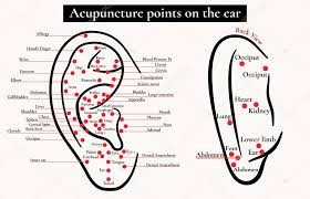 Reflex Zones On The Ear Acupuncture Points On The Ear Map
