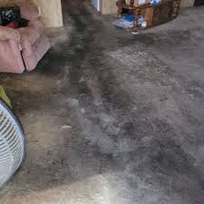 perfect touch carpet cleaning 16
