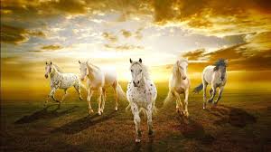 free seven horses wallpaper