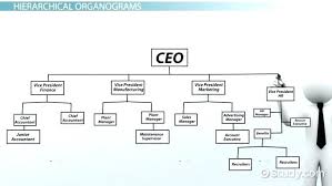 Organizational Structure Flow Chart Jasonkellyphoto Co