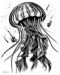 Black White Medusa Jellyfish Underwater