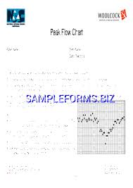 Peak Flow Chart 1 Pdf Free 2 Pages