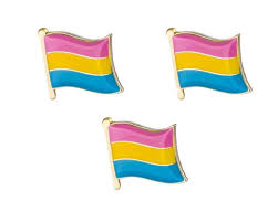 Used since 2010 the pansexual (also omnisexual) flag portrays attraction to all gender identities and biological sexes. Pansexual Pride Flag Lapel Pin 16mm Gay Lesbian Lgbt Lgbtq Hat Tie Tack Badge Pinbacks Collectibles