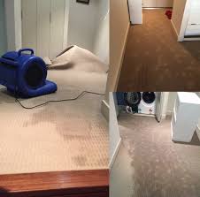 Carpet Water Damage Refresh Carpet