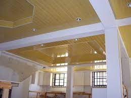 pvc ceilings contemporary other