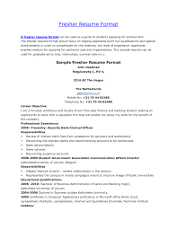 Resume Format For Mca Freshers   IT Resume Cover Letter Sample Than       CV Formats For Free Download