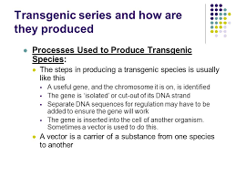 In some species, the foreign dna is. Transgenic Species Transgenic Series And How Are They Produced Transgenic Species Are Organisms Which Have Had Genetic Material From A Different Species Ppt Download