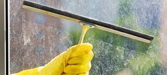 Fill a spray bottle half full with vinegar. How To Clean Limescale From Window Glass