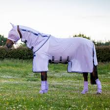 amigo rugs affordable rugs for horses