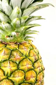 why a pineapple symbolizes hospitality