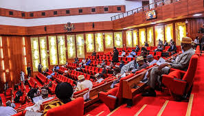 Senate committee backs 18-year minimum entry age into tertiary institutions