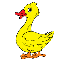 Yellow duckling art print for the nursery. Duck Drawing Pictures For Kids Novocom Top