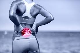 This includes the erector spinae and glutes (butt). Low Back Pain Familydoctor Org