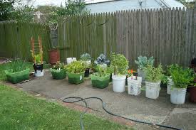 Container Vegetable Gardening The