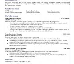 Director Of Projectanagement Resume Cover Letter No Experience