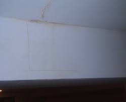 Apply it directly to the moldy surface, and let the wood soak up the solution. 100 Pictures Of Mold In The Home