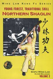 shaolin temple boxing kung fu
