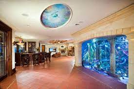 why you should consider a wall fish tank