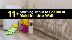 Cleaning Mold Inside Walls Getting