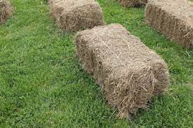 Cost of Hay in Connecticut | Extension News