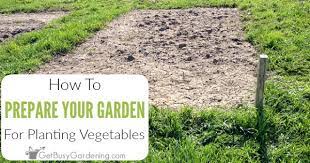 a garden bed for planting vegetables