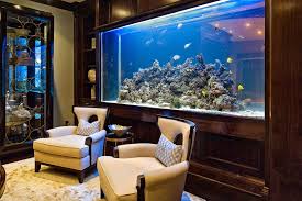 beautiful home aquarium design ideas