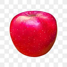 apple fruit png transpa images free