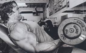 2248x2248 Arnold Schwarzenegger Bodybuilding Pics 2248x2248