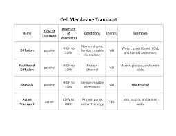 74 Prototypical Membrane Transport Chart