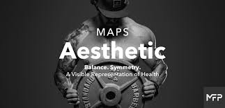 maps aesthetic muscle adaptation