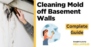 Cleaning Mold Off Basement Walls A
