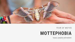 fear of moths phobia mottephobia fearof