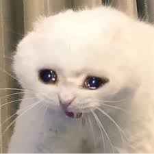 Ugly crying cat, coughing cat meme 1080x1080, crying fat cat, crying cat meme butter, crying cat meme fbi, crying cat meme template, crying cat tons of awesome 1080x1080 wallpapers to download for free. No 4 Crappyfics Exo As Crying Cat Memes Minseok