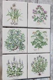 Ceramic Kitchen Tiles W Botanical Herb