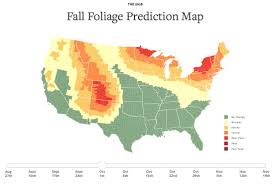 Start Planning For Fall Now With This Interactive Foliage