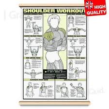 Details About Shoulder Workout Professional Fitness Training Wall Chart Poster A4 A3 A2 A1