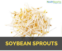 soybean sprouts fact health benefits